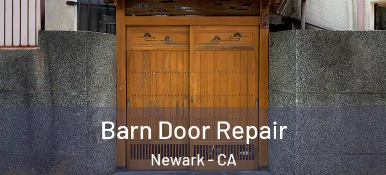  Barn Door Repair Newark - CA