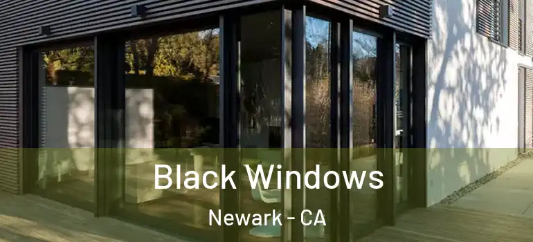  Black Windows Newark - CA