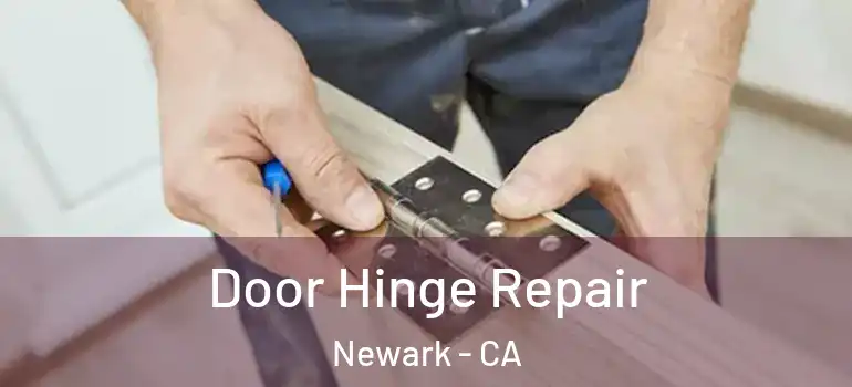  Door Hinge Repair Newark - CA