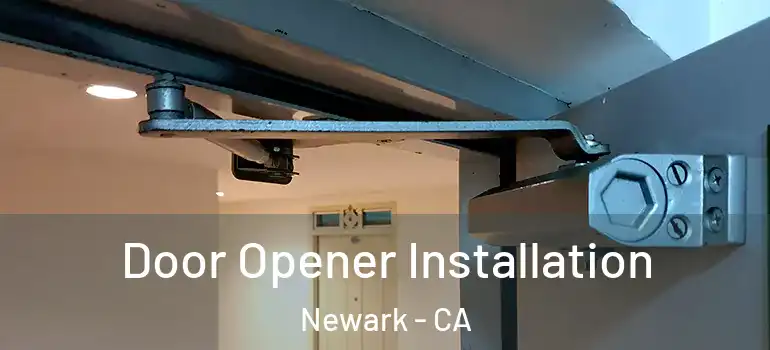  Door Opener Installation Newark - CA