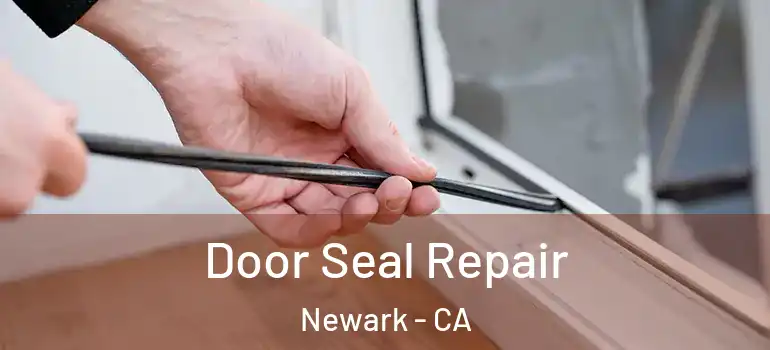  Door Seal Repair Newark - CA