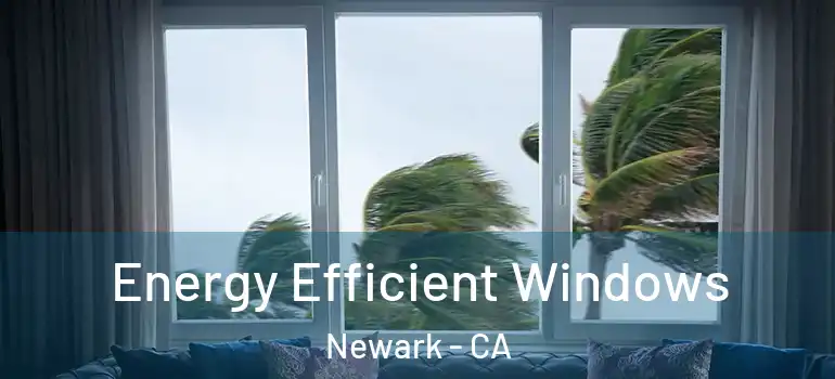  Energy Efficient Windows Newark - CA