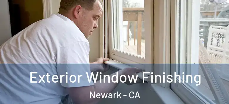  Exterior Window Finishing Newark - CA