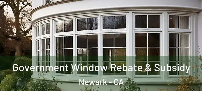  Government Window Rebate & Subsidy Newark - CA
