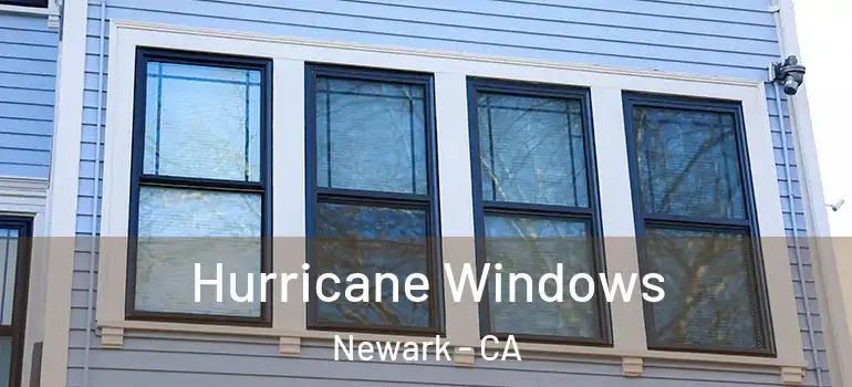  Hurricane Windows Newark - CA