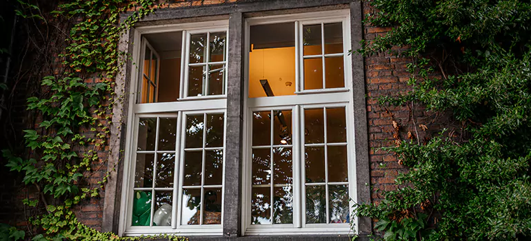 Energy Efficient Wood Windows in Newark, CA