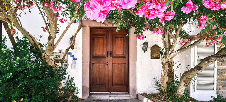 Traditional 4 Panel Internal Doors in Newark, CA