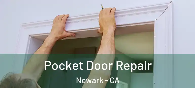  Pocket Door Repair Newark - CA