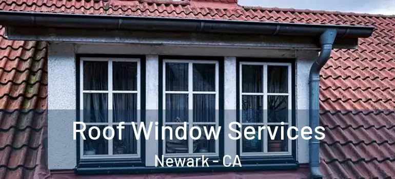 Roof Window Services Newark - CA
