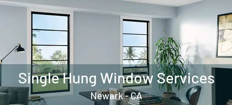  Single Hung Window Services Newark - CA