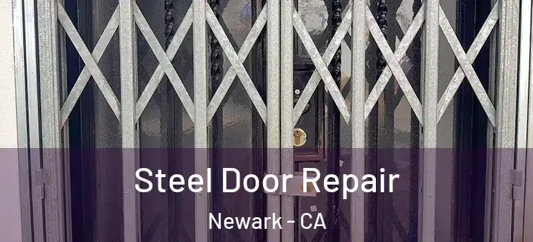  Steel Door Repair Newark - CA