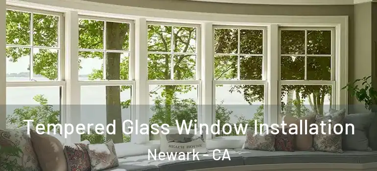  Tempered Glass Window Installation Newark - CA