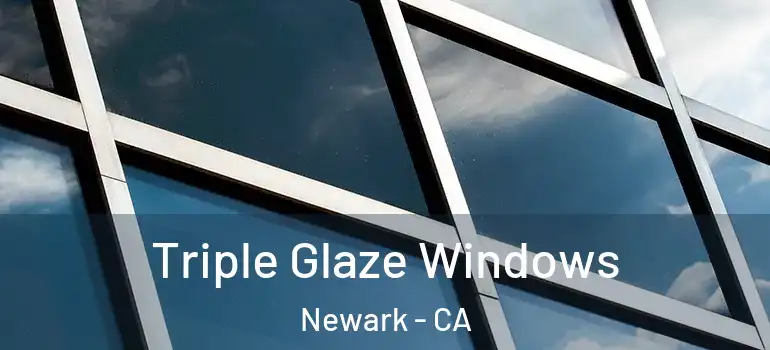  Triple Glaze Windows Newark - CA