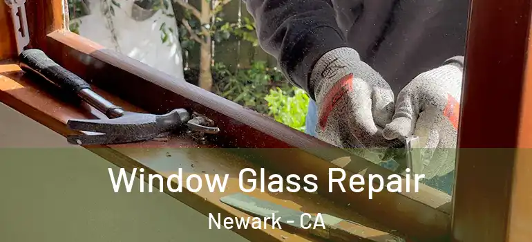  Window Glass Repair Newark - CA