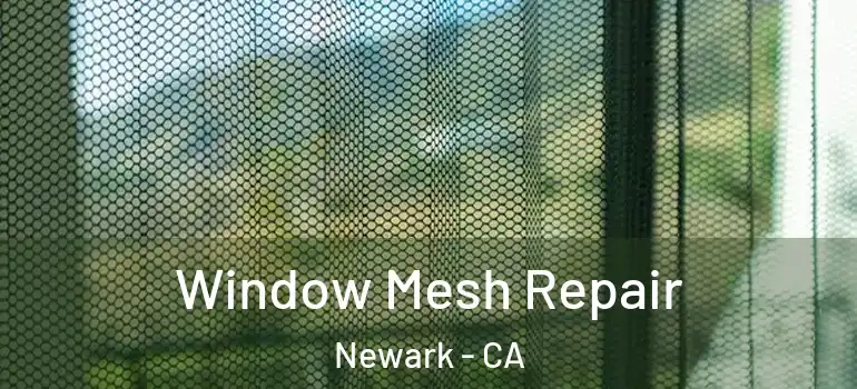  Window Mesh Repair Newark - CA