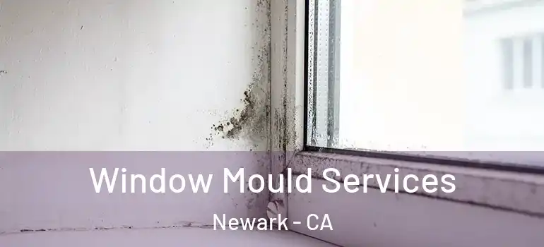  Window Mould Services Newark - CA
